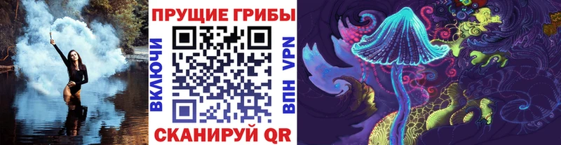 Псилоцибиновые грибы ЛСД  Купить закладки  Лесной 
